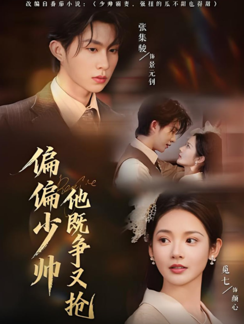 偏偏少帅他既争又抢